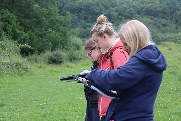 Phase 1 Habitat Mapping