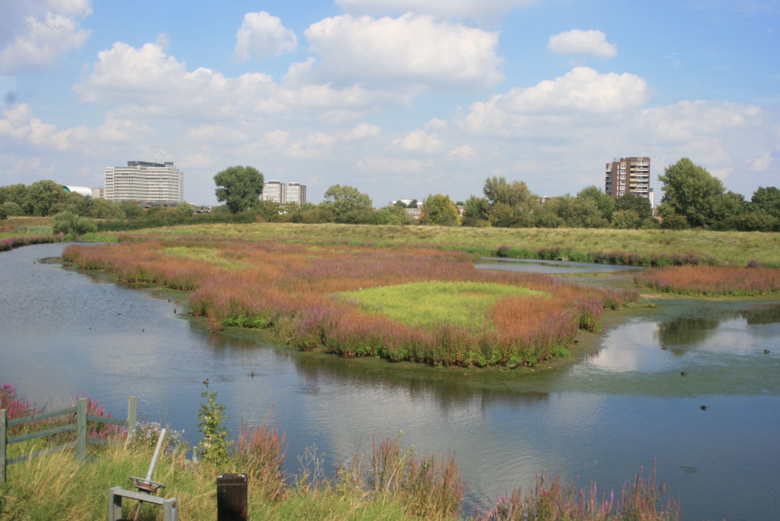 Certificate in Conservation Management 2023
