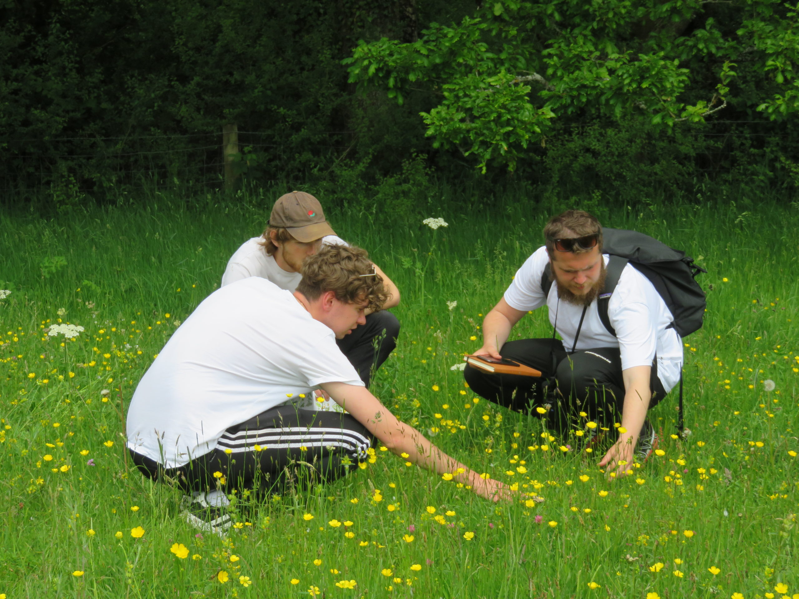 Certificate in Conservation Management: Intro Webinar 26th February 2024