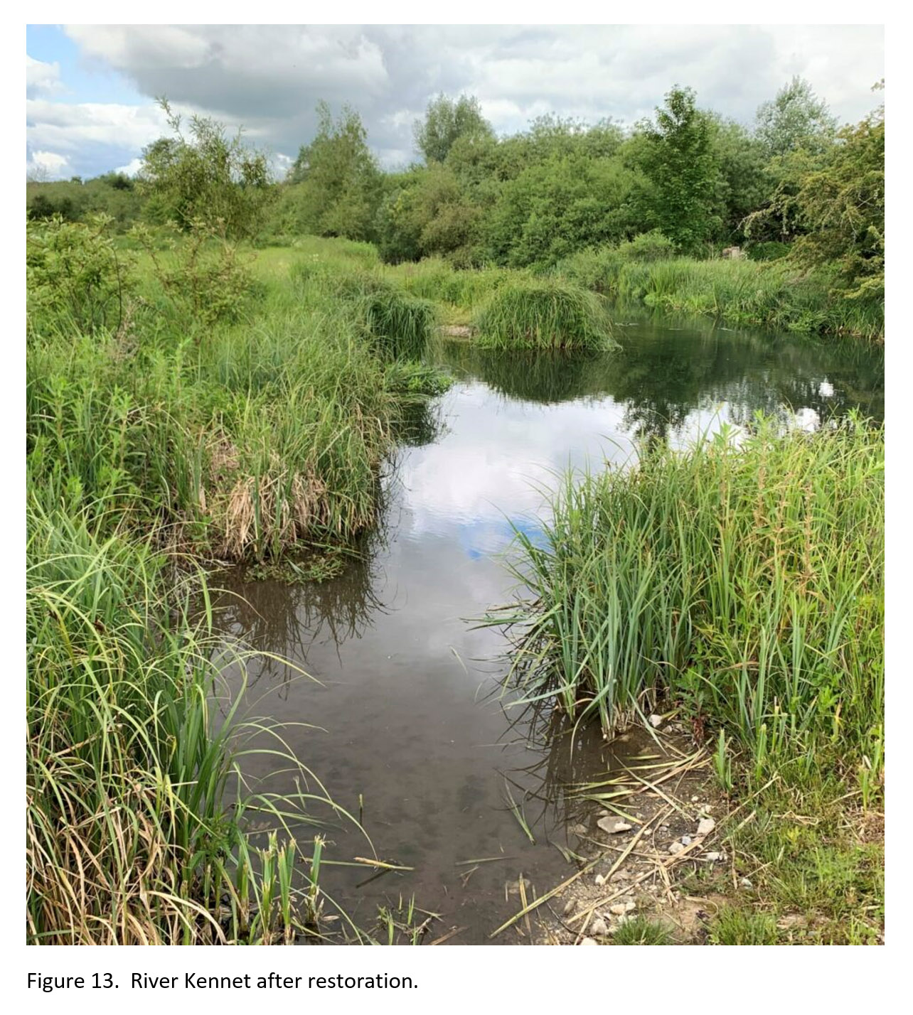 Wetland Creation, Restoration, and Management