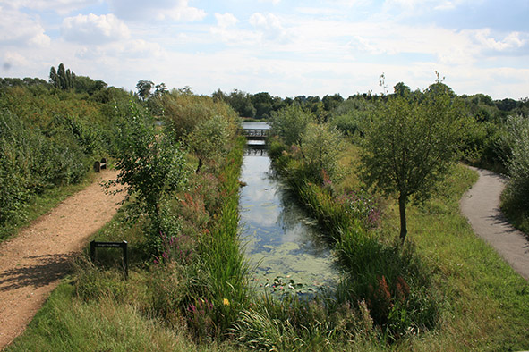 Introduction to Biodiversity Net Gain - Webinar - 4th-5th March 2024