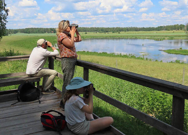 Field Trip To Sweden Summer 2024 Ecology Training UK   IMG 1982 Cropped 1 600x431 