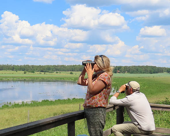 Birdwatchers