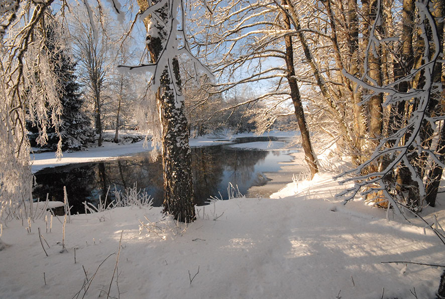 Field Trip to Sweden Winter 2024