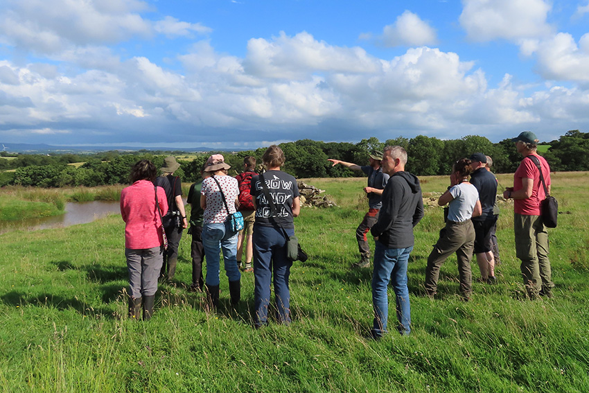 Certificate in Practical Rewilding and Species Recovery: Field Course Dates 6th-8th May 2025 - Coombeshead, Devon