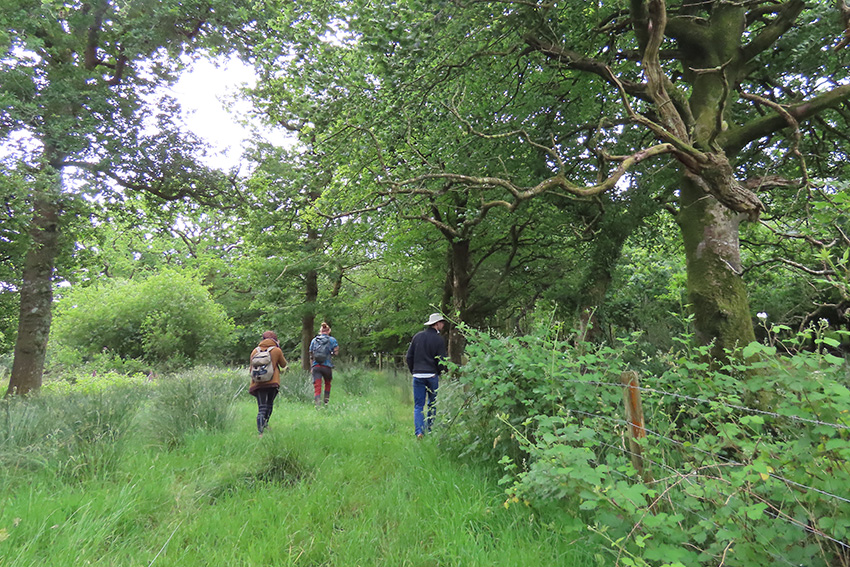 Certificate in Practical Rewilding and Species Recovery INSTALMENT DEPOSIT