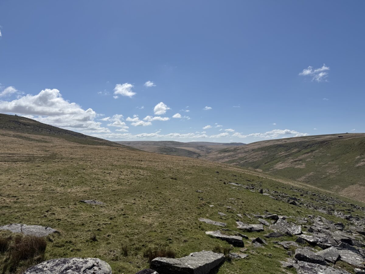 Ecosystem services