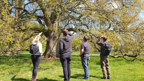 Best Ecology Courses 2026