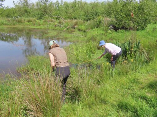 common mistakes new ecologists make